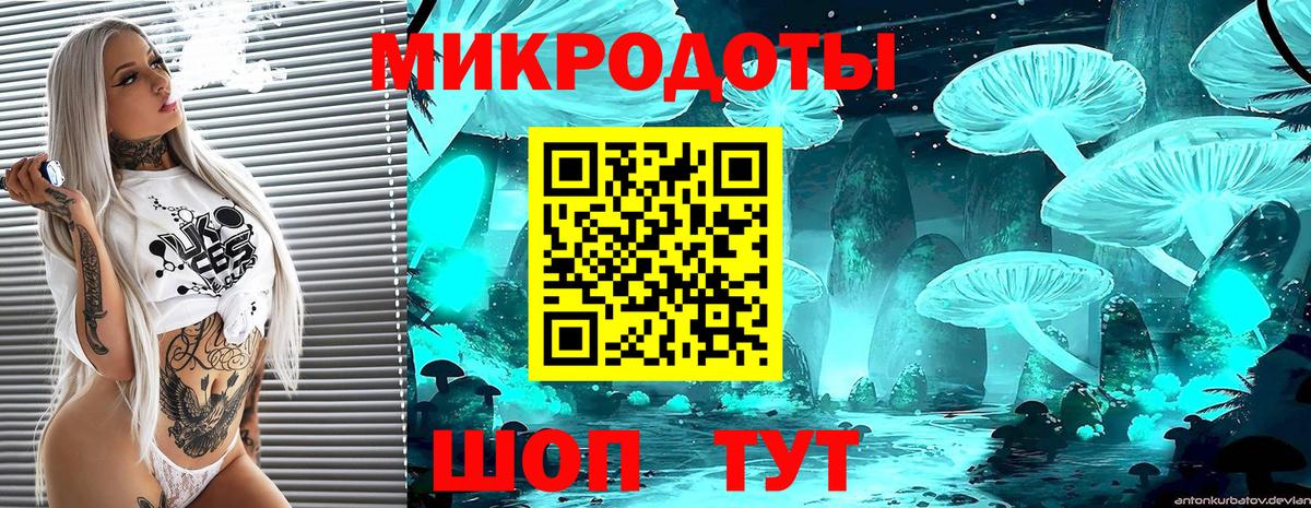 Псилоцибиновые грибы мухоморы Нижний Новгород