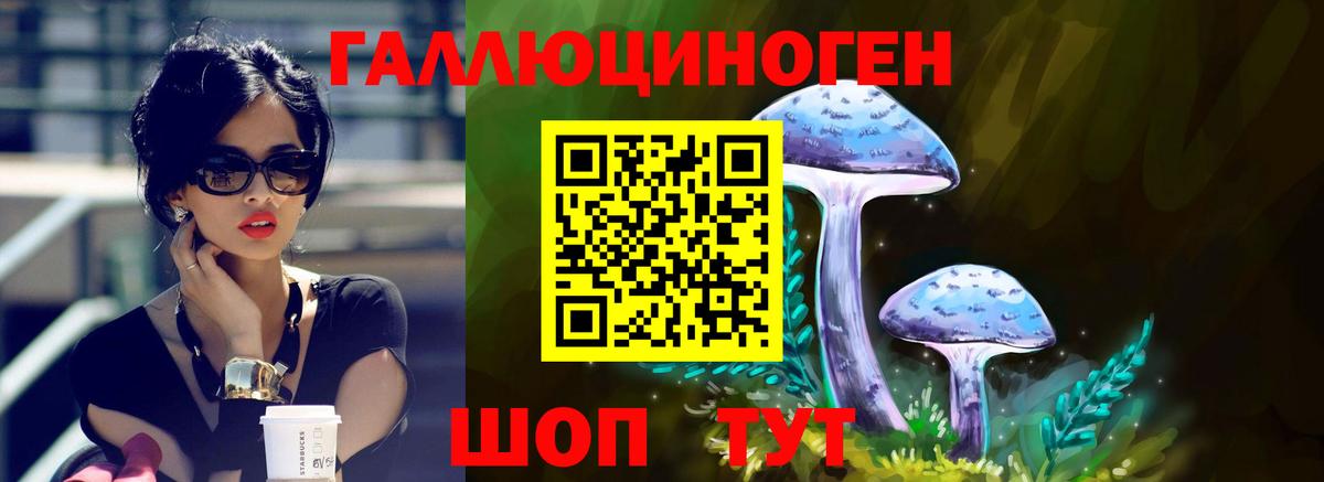 Нижний Новгород  Псилоцибиновые грибы Psilocybine cubensis  Вход с VPN 